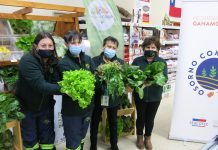 “Osorno Compra Local” potencia la comercialización formal de la Cooperativa Campesina Agroecológica de Mujeres