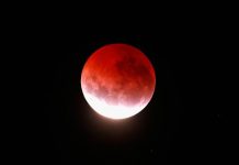 Superluna de sangre: Será visible desde Chile este miércoles