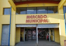 Puerto Montt: locatarios del Mercado Presidente Ibáñez inauguraron nueva y moderna sala de hielo
