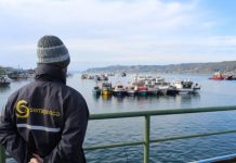 Casi un año Sernapesca en Los lagos permanece sin director titular
