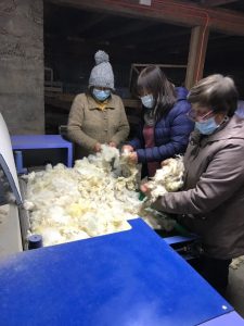 Podcast Campo al Día: "Piuke Kimun", agrupación de hilanderas de Rio Negro.