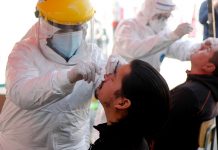 Región presenta 43 contagios de cepas britránica y brasileña, la mayoría asintomáticos