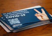 Daza adelantó que el «carnet verde» contemplará salidas a pasear y viajes interregionales