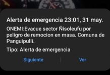 Onemi pide evacuar un sector de Panguipulli por remoción de masa desde un cerro: Hay damnificados