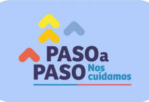 Plan Paso a Paso: Puyehue y Quemchi retroceden a cuarentena