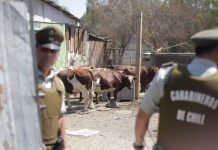 Suprema ordena al Fisco indemnizar a agricultor por no brindar servicio policial