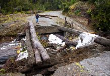 Puente de acceso al Parque Tantauco se desploma y deja aisladas a familias de Colonia Yungay en Quellón