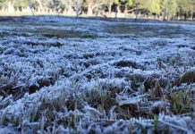 Heladas impredecibles y más lluvia se pronostican para el resto del invierno en la región