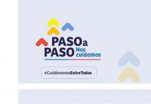 Paso a Paso: Anuncian cambios de fase en Los Lagos y Los Ríos