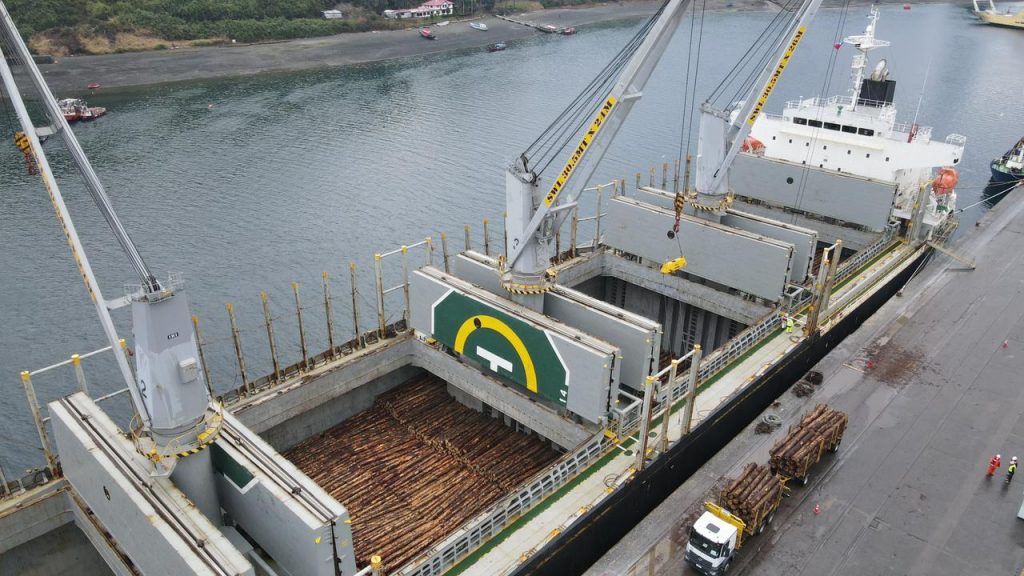 Desde Puerto Montt sale primera exportación de rollizos de pino a granel