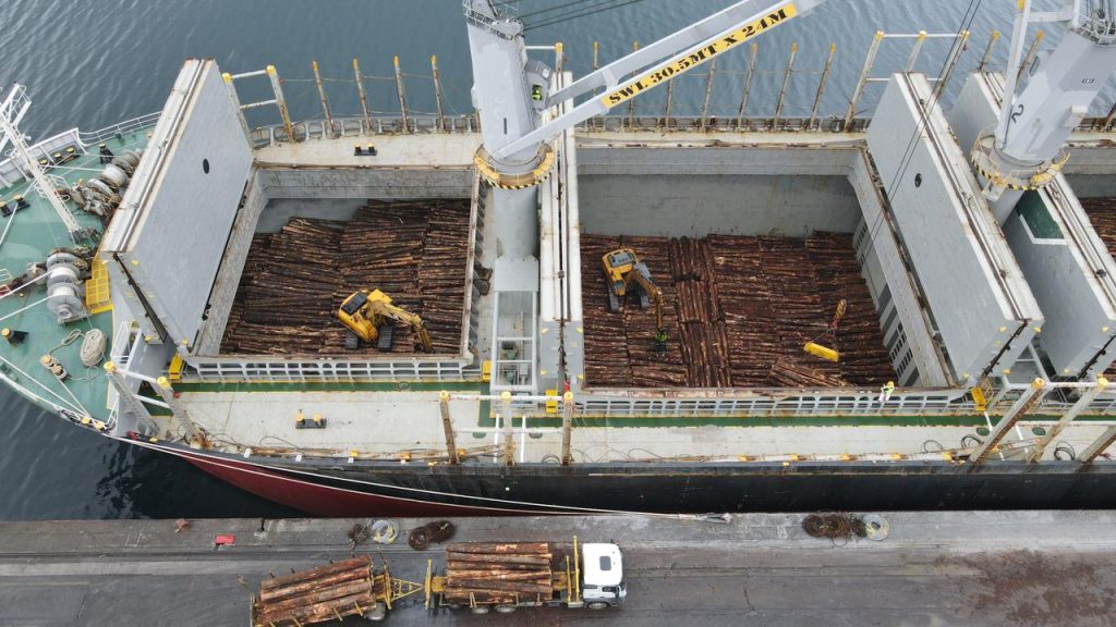 Desde Puerto Montt sale primera exportación de rollizos de pino a granel