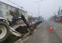 Core denuncia destrucción irregular de bandejón de avenida República en Osorno autorizada por Serviu