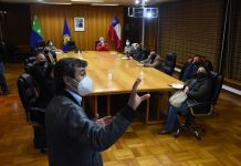 Educación y Salud incentivarán vacunación en jóvenes de Los Lagos