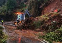 Lluvias afectaron sector costero en Los Ríos: Hubo masiva caída de árboles por temporal
