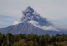 Inédito estudio reveló efectos del volcán Calbuco sobre los mares de la Patagonia