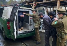 Porfiados: Cerca de 5 mil personas han sido detenidas más de una vez por infringir la Salud Pública