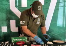 Prefectura Llanquihue: En 6 meses Carabineros ha incautado más droga que en 2020