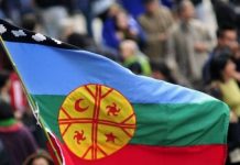 Congreso define hoy si este lunes 21 será feriado por Día Nacional de los Pueblos Originarios