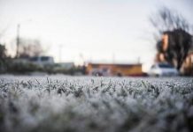 Fría mañana: Temperatura mínima en Puerto Montt marcó hoy -3,5 grados