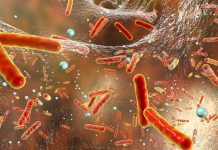 Antimicrobianos regulados por el SAG.