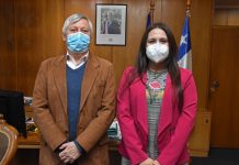 Gobierno designó a Paulina Lobos como nueva seremi de Educación en la región