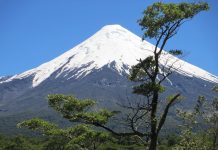 Conaf abre acceso a Cumbre del volcán Osorno