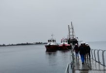 Salud toma test a 20 tripulantes de barco japonés en Calbuco: Todos negativos de covid-19