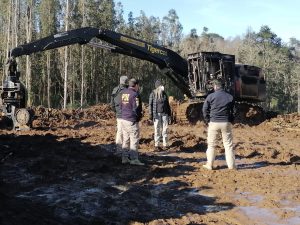 Dos ataques incendiarios a maquinaria forestal se registraron en Río Negro