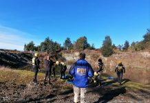 Encuentran cadáver de adulto mayor desaparecido en Puerto Montt