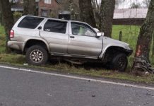 Fatal accidente entre vehículo menor y un camión deja una persona fallecida en ruta a Puyehue