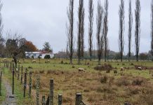 Statkraft Chile potenciará turismo local en la cuenca del Pilmaiquén