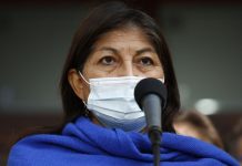 Debido a amenazas, Elisa Loncón tendrá protección permanente de Carabineros