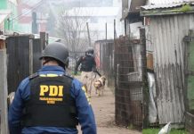 Operación La Minga: PDI detiene a 14 personas por microtráfico en Chiloé