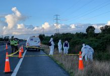 Un trabajador agrícola murió de hipotermia al interior de un predio en Calbuco