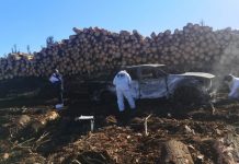 Gobierno se querelló por quema de maquinaria forestal en Panguipulli: Asenjo acusó acto “cobarde”