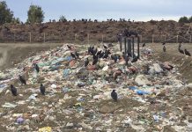 Ordenan paralizar ingreso de residuos en vertedero Puntra – El Roble de Ancud