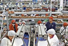 Gobierno e INE valoraron recuperación de empleos formales entre junio y agosto