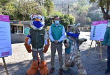 Minvu anuncia reapertura del Zoológico Nacional y el Buin Zoo, con aforo restringido y compra de entradas online
