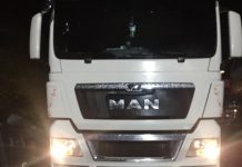 Detectan más de 10 toneladas de mariscos de origen ilegal en barrera sanitaria de Chacao