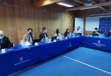 Constituyentes se reúnen esta jornada en sesión en Ancud