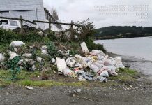 Sernapesca inspecciona playa en Chonchi por contaminación tras denuncia ciudadana