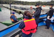 Sernapesca Los Lagos entrega balance de fiscalizaciones en aguas continentales