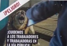 Lanzan campaña para cuidar a trabajadores de servicios de ataques de perros