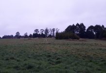 Equipo de Bienes Nacionales realizó las mediciones de terreno del futuro hospital de Puerto Varas