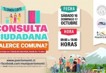 Alerce comuna: Se fijó fecha para consulta y podrán votar mayores de 14 años