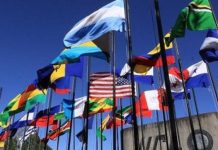 Ministros de Agricultura de las Américas tratarán posicionamiento ante Cumbre de la ONU.