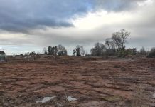 Inmobiliaria acusada de destruir humedal en Osorno deberá detener sus faenas tras recurso de protección