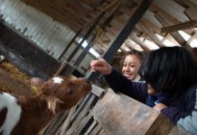 Educación Técnica Profesional es apoyada con fuerza por Corporación de Desarrollo del sur.