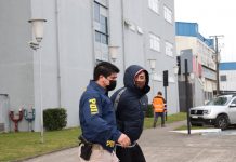 Formalizan a padre e hijo por el delito de tráfico de drogas en Maullín