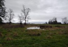 Proponen mesa de trabajo por humedales urbanos en Osorno con todos los actores involucrados